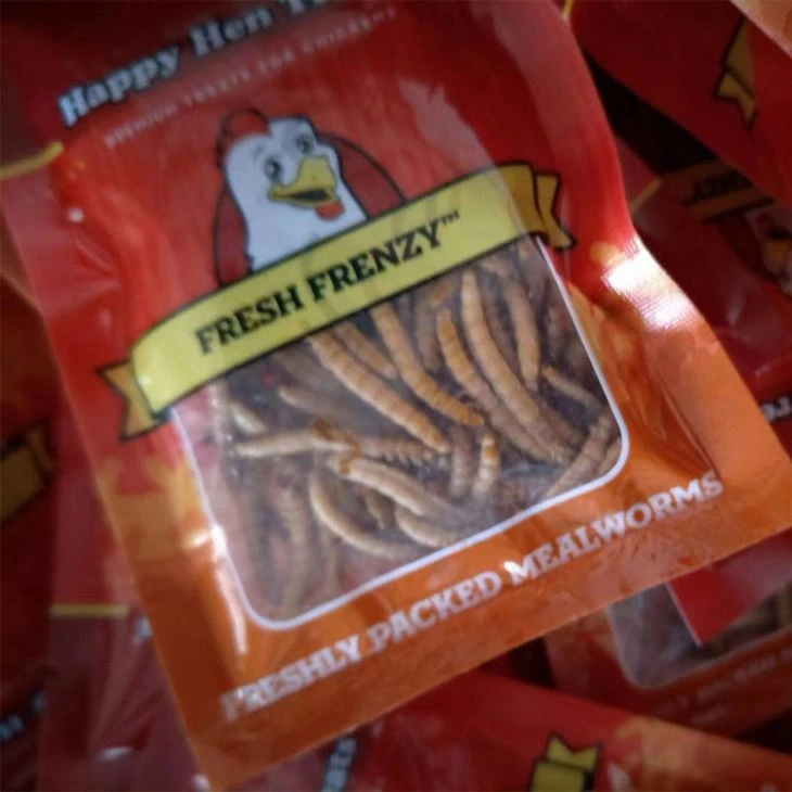 fresh mealworms for reptile